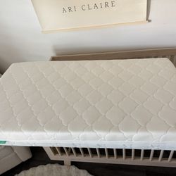Like New Newton Waterproof Crib Mattress