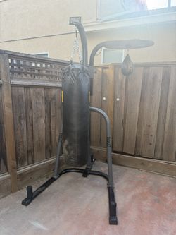 Everlast Punching Bag And Speed Bag