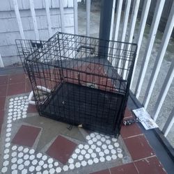 dog cage