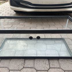 Fish Tank 