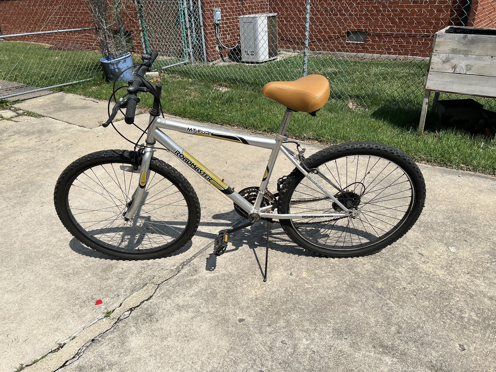 MT. Fury Mountain Bike 