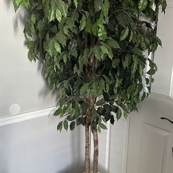 Artificial 7’ Plant