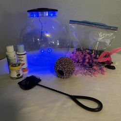 Betta Fish Bowl