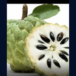 Soursop Graviola Guanabana Annona Muricata 1 G