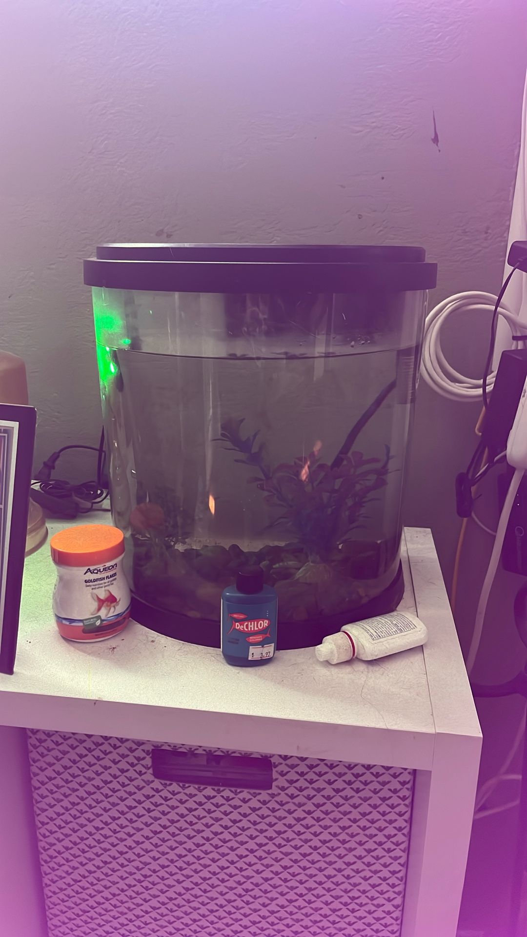 3 Gallon Fish Tank