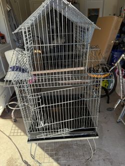 Bird Cage