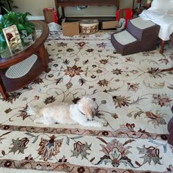 Hand Tuffed Wool Rug