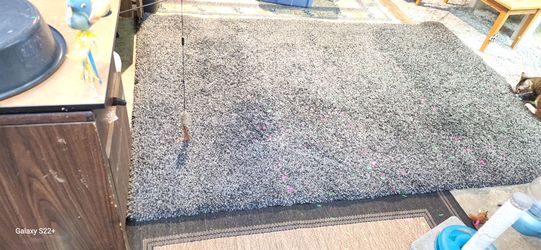 safaveih 5 x 8 area rug dark grey