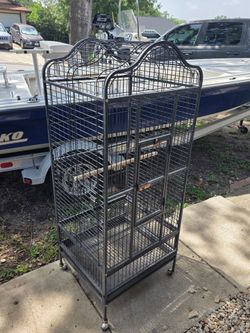 Bird Cage