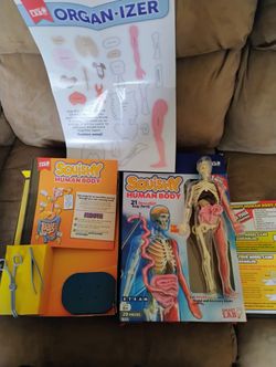 Squishy Human Body Toy Kit