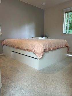 FREE Bed Frame & Mattress