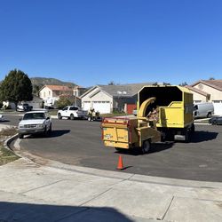 Tree Work