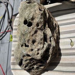 Rock Came From 96 Ft Deep Befor Florida Was Formed