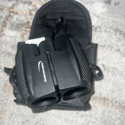 Binoculars for Adults and Kids, Folding Compact Binocular With Weak Light Vision, Lightweight Small Binoculars for Bird Watching, Travel, Concerts Etc