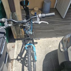 Bicycle 