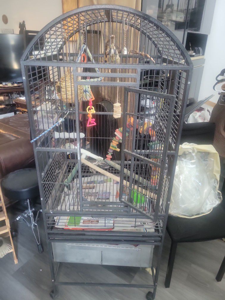 Bird Cage Parrot Sunconure