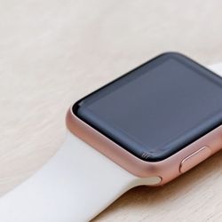 Apple Watch SE 