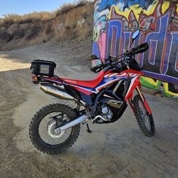 2024 HONDA RALLY CRF300L parts