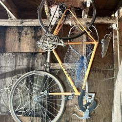 Schwinn Le Tour 3