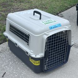 Pet on sale carrier sale