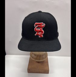 kill the hype snap back 