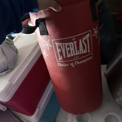 Everlast Punching Bag 