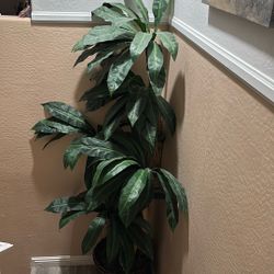 Artificial Plants  7 Foot 