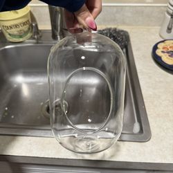 Plant Glass Terrarium