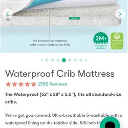 Wateproof Newton  Mattress