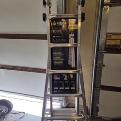 NEW 22Ft Gorilla Ladder
