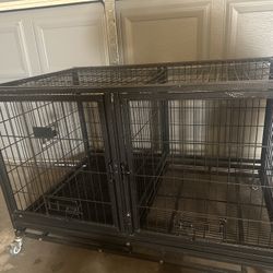 dog kennel
