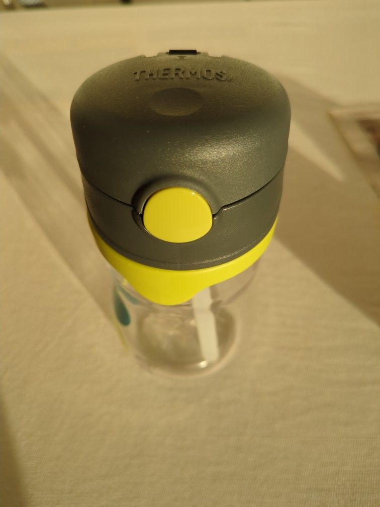 Foogo Plastic Straw Bottle Pink - 11 oz. (Thermos) Green