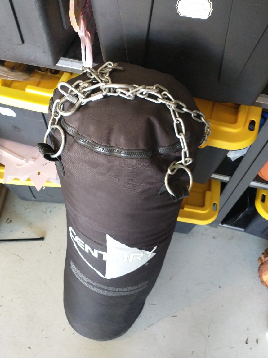 Century Punch  Bag