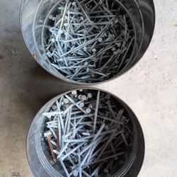 Galvanized Nails
