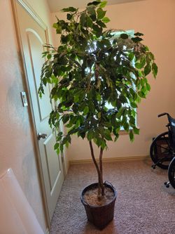 FAKE TREE