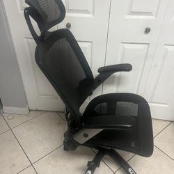 Gabrylly Ergonomicg Office Chair.