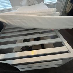 FREE BED