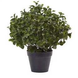 Indoor/Outdoor 23 in. Artificial Peperomia Plant UV Resistant