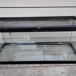 Glass Reptile  Tank   40 Gallon Tank 