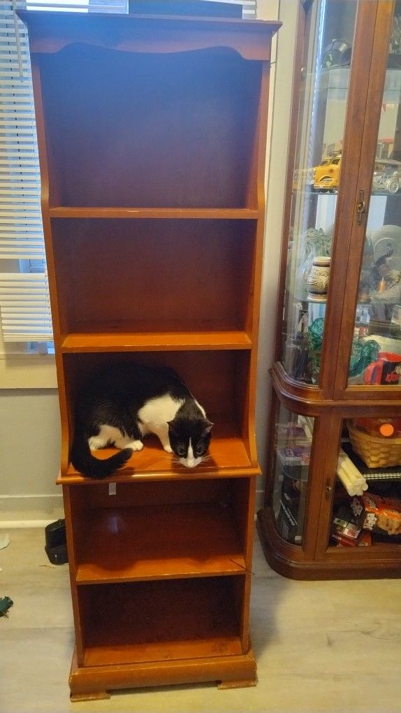 Wooden Shelf