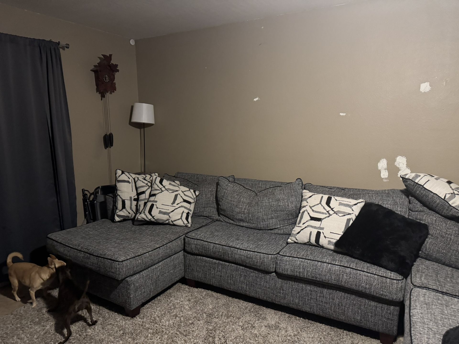 Sectional Sleeper
