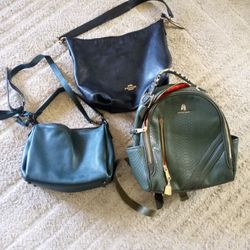 3 Women's Handbags And Purses (Coach And Tote & Carry)