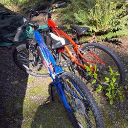 2 bikes to start out with the orange one needs some work