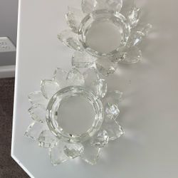 Glass Plates Or Holders