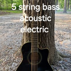 Brand New 5 String Acoustic Electric Bass Guitar 