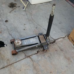 Gato Grande  Muy Bueno Travaja Batante Bien