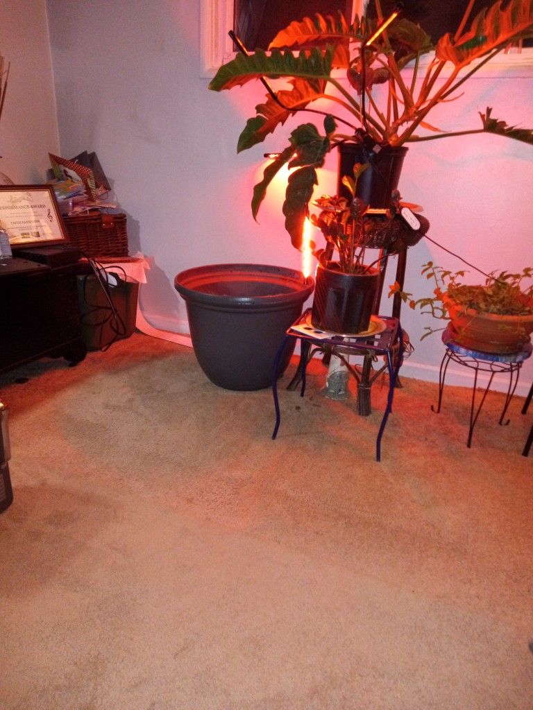 Extra Large Flower Pot