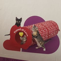 Cat tunnel toy 