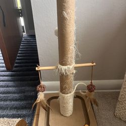 Cat Scratching Post