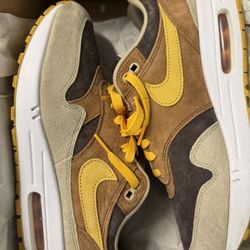 Nike Air Max 1 Ugly Duckling 